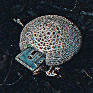 Yay Puree (feat. HippieInAllBlack)