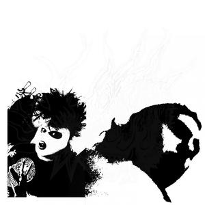 Bio-Link Poultry Shield Disinfectant & Red Mite Spray (out of stock)