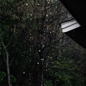雷雨乱心Vol.2