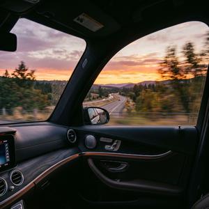 Passenger Seat