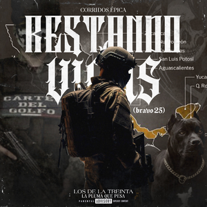 Restando Vidas (Bravo 25)