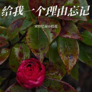 找不到理由忘记