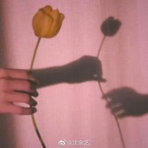 相见