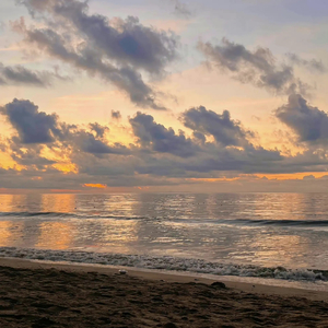 DJ阿智-此志不渝的爱（月 remix）