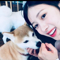 流泪的索玛 (洋龙 remix) (Remix)