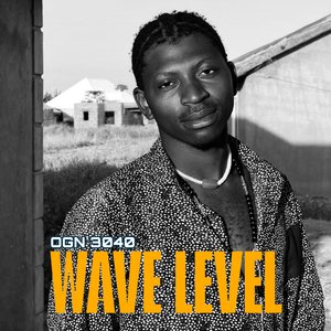 Wave Level