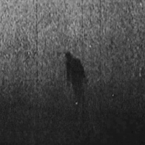 MATINGWOLF (PROD. KILL EBOLA)