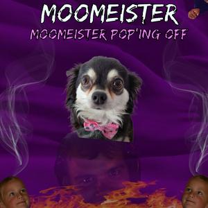 MooMeister Pop'ing Off
