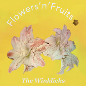 Flowers`n`Fruits
