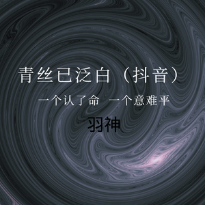 青丝已泛白（抖音热播版）