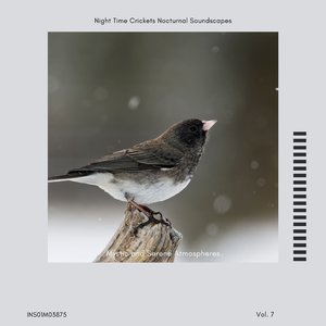 Night Time Crickets Whispers - Relaxing Melodies, Pt. 6