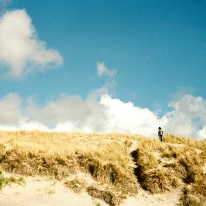 Turning Over A New Leaf