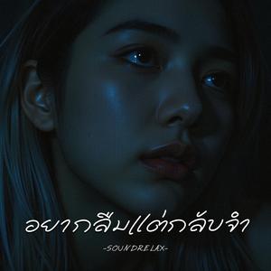 อยากลืมแต่กลับจำ (Can’t Forget Though I Try)