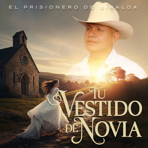 Tu Vestido de Novia