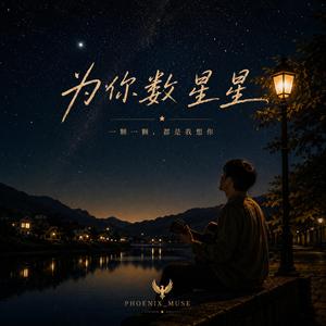 为你数星星