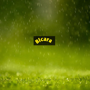 Bicara