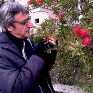 Yürekli Kadın Türküsü