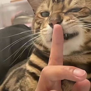 操场男-整曲 伴奏