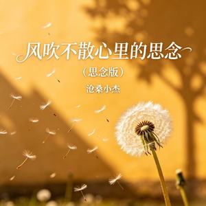 风吹不散心里的思念(思念版)