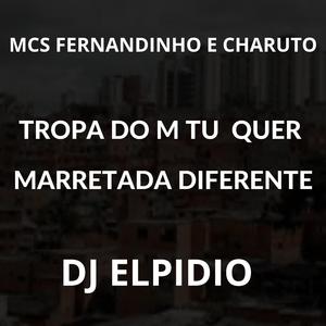 Tropa do M Tu Quer Marretada Diferente