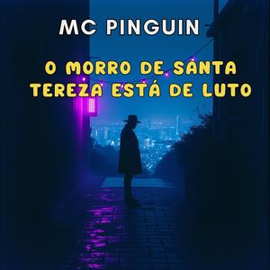 O morro de Santa Tereza está de luto