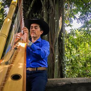 Alabanza (Instrumental Llanera) (Instrumental) (Instrumental)