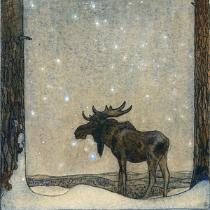 Gläns över sjö och strand