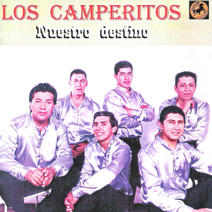 Amigazo