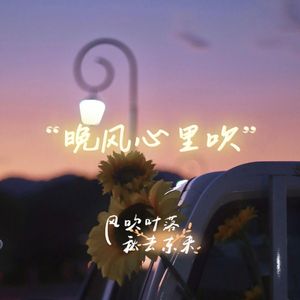 晚风心里吹