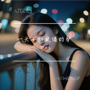 一头不知疲倦的驴