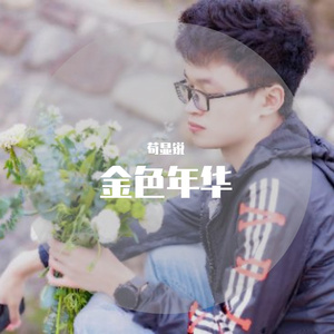 群星-星月神话（伴奏）（苟显锐 remix）