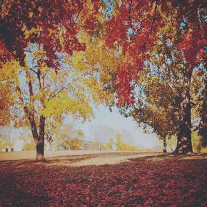 Autumn (feat. Paige Moebes)