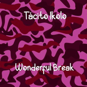 Wonderful Break (Original mix)