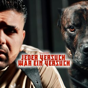 Jeder Versuch war ein Versuch