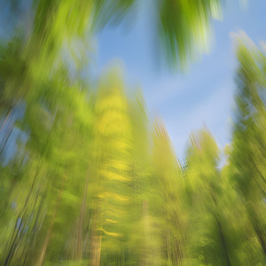 雨音が心を包むリラックスBGM