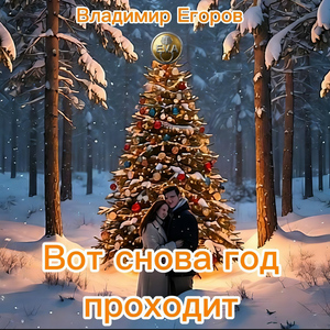 Вот снова год проходит