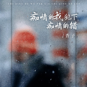 痴情的我犯下痴情的错 (DJBanan版伴奏)