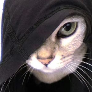 【Trap】‘’与我无关‘’ 悲伤 钢琴 人声 情绪 叙事 Beat