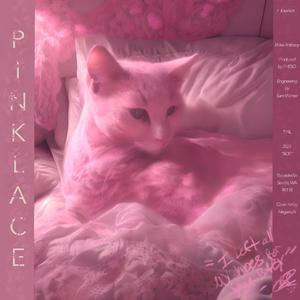 Pink Lace (feat. Pheso & Dont3)