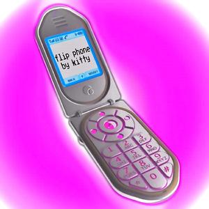 flip phone