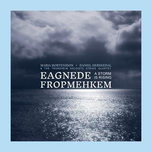 Eagnede fropmehkem - A Storm is Rising
