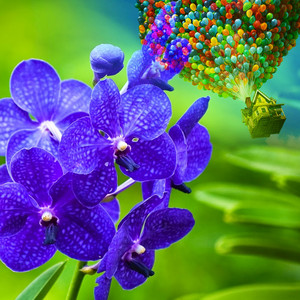 Galletita de la Suerte
