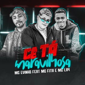 Cê Ta Maravilhosa (feat. Mc Fita & Mc Lipi)