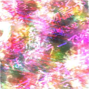 FLY (Amauge X Sowre Remix)