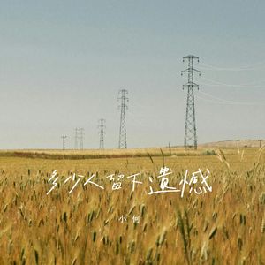 多少人留下遗憾