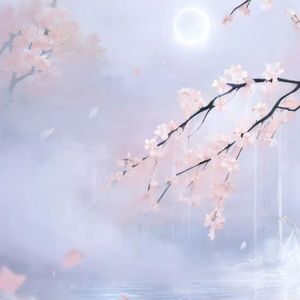 杨花落尽子规啼