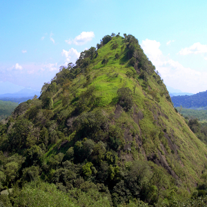 Go Climb the Mountain