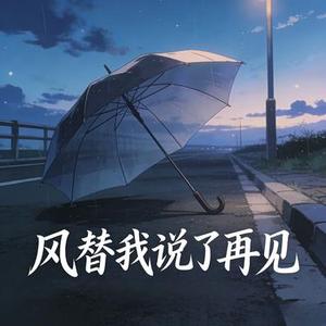 风替我说了再见 (8D环绕版)