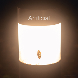 Artificial