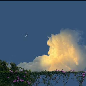 分开后的纠缠是真爱的体现